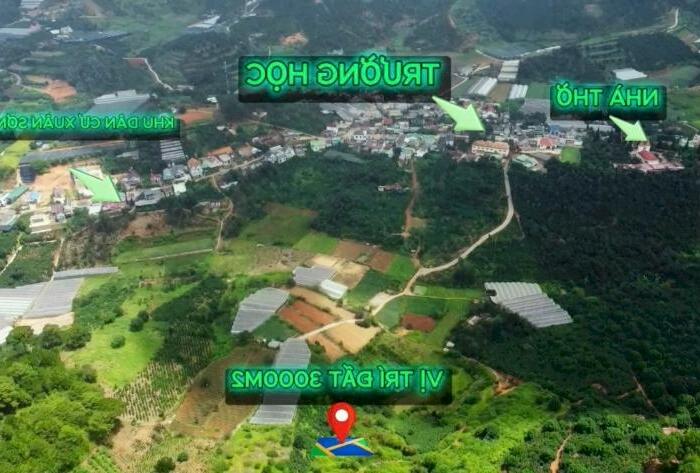 Hình ảnh Bán 3000m2 Đất Nông Nghiệp Xuân Trường, Đà Lạt – View Rừng Thông Yên Tĩnh, Giá F0 Chỉ 3,2 Tỷ 10