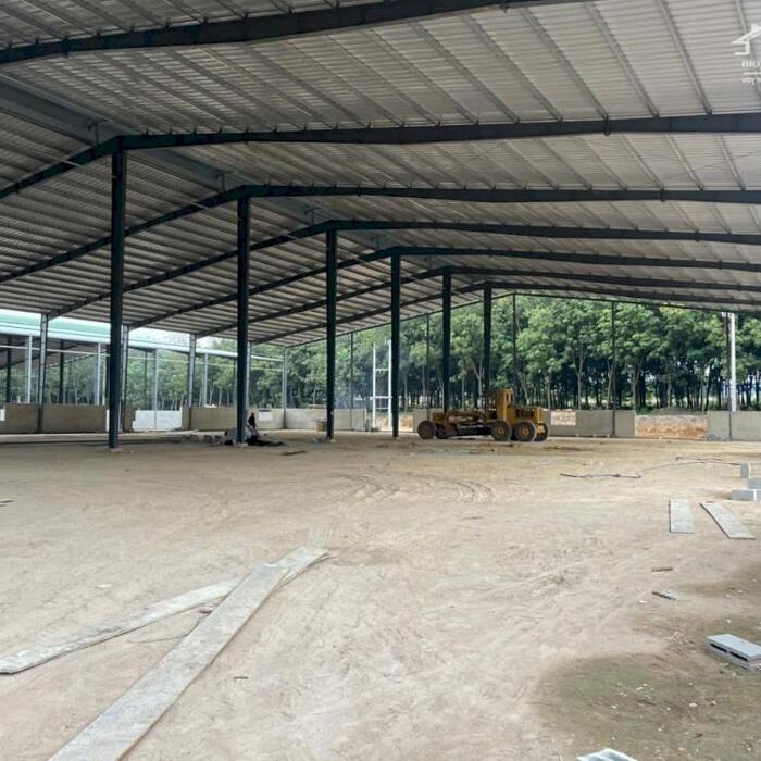 Hình ảnh Cho Thuê 6.600m2 Xưởng Mới 100% Ngoài KCN Bàu Bàng Bình Dương Giấy Tờ Đầy Đủ 3