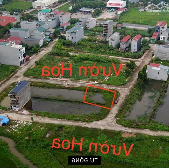 Hình ảnh Bán 2 lô đất khu Gò Xoan Thanh vân, Tam dương, Vĩnh phúc 4