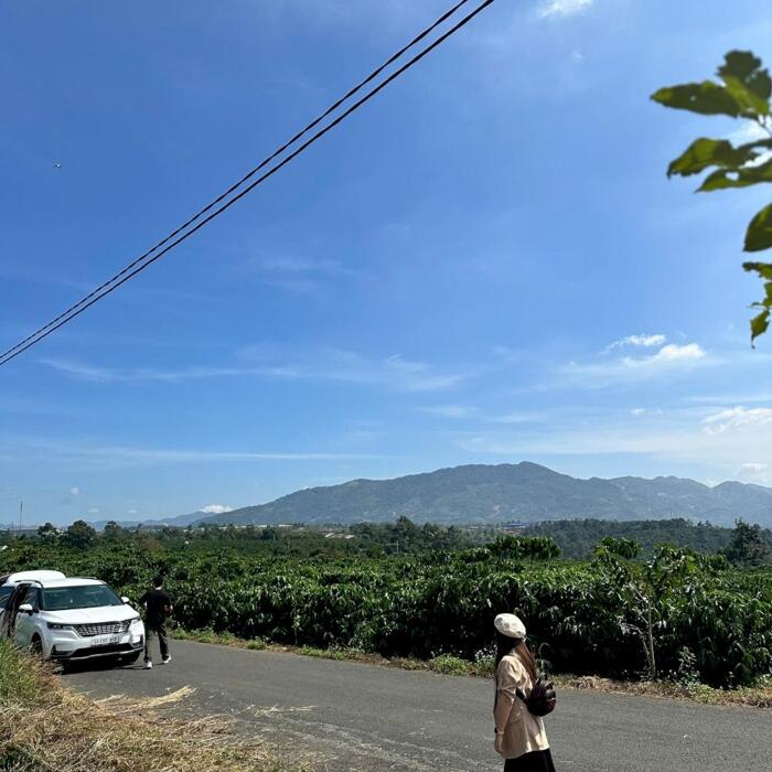 Hình ảnh Săn mây tại đất trung tâm Bảo Lộc, ôm trọn view núi Đại Bình 0