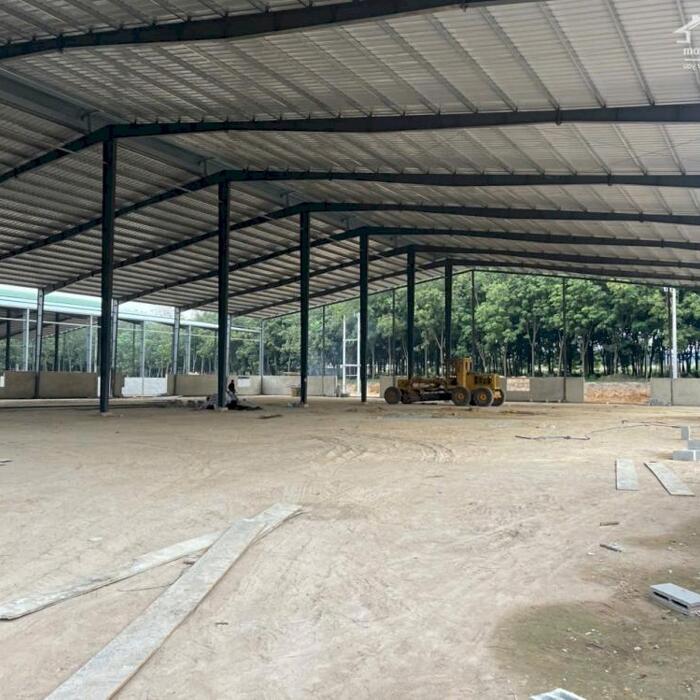 Hình ảnh Cho Thuê 2.200m – 3.000m2 – 6.000m2 – 10.000m2 Xưởng Mới Ngoài KCN Bàu Bàng Bình Dương 3