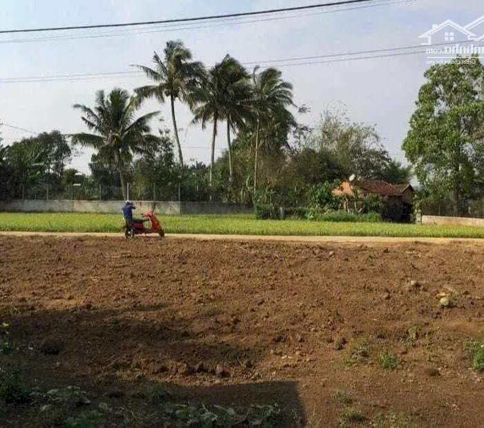 Hình ảnh Bán Lô Đất Đẹp Ngay Chợ Km19, Quốc Lộ 26, Krông Pắc, Buôn Ma Thuột – Giá Chỉ 495 Triệu 4