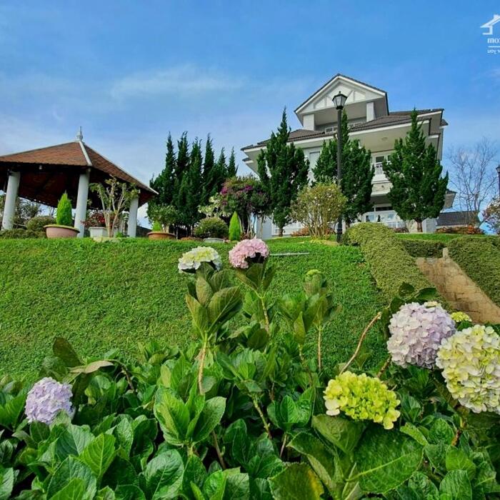 Hình ảnh Bán Villas 1 trệt 2 lầu tại Hoàng Hoa Thám, Phường 10, TP. Đà Lạt – View toàn cảnh tuyệt đẹp 0