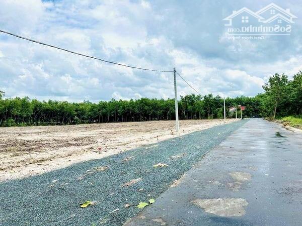 Hình ảnh SANG GẤP 570M2 ĐẤT Ở NGAY KHU CÔNG NGHIỆP, CHỢ DÂN ĐÔNG. GIÁ 180 TRIỆU 0