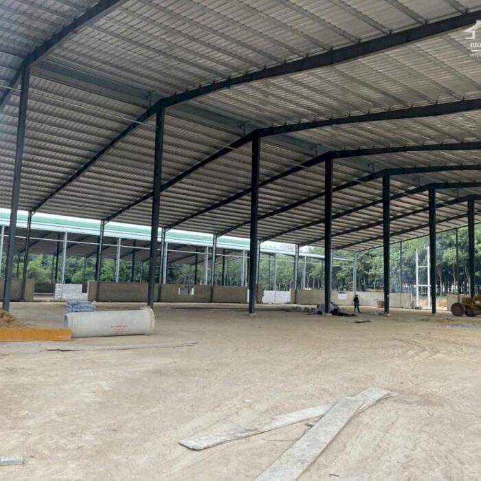 Hình ảnh Cho Thuê 14.500m2 Kho Xưởng Mới 100% Tại Phú Giáo Bình Dương 2