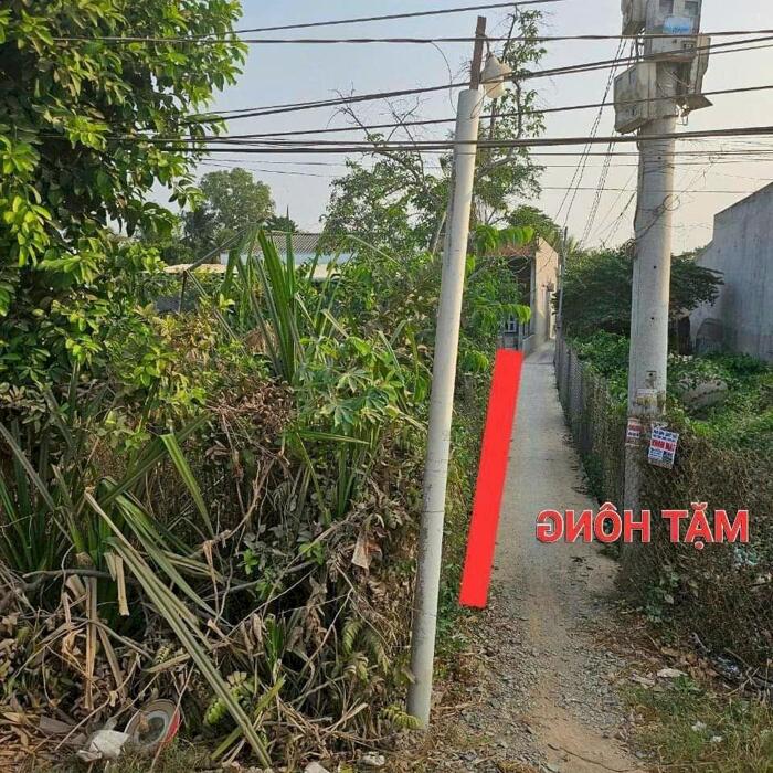 Hình ảnh Đất Mt đường Nguyễn Văn Quá, ngay cụm CN Tú Phương xã Lợi Bình Nhơn TP Tân An 1