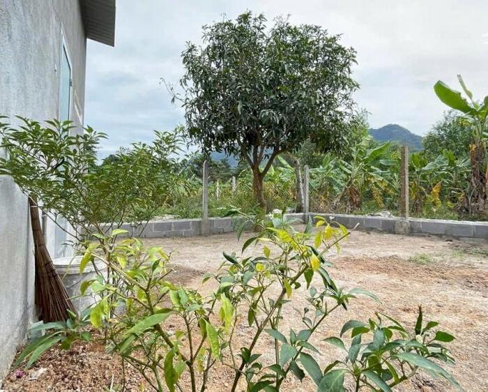 Hình ảnh Bán nhà cấp 4 xã Suối Tiên, huyện Diên Khánh giá chỉ 1tỷ 150triệu 3