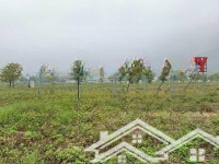 bán cắt lỗ mảnh 100m2 trục chính tnr yên bái