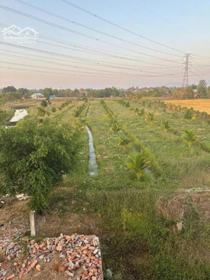 chính chủ bán gấp đất trang trại nghỉ dưỡng dt 12,209m2 ma lâm, bình thuận giá tốt cho nhà đầu tư