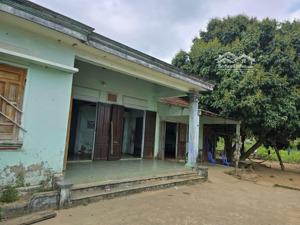 bán đất nhà vườn ô tô tận nơi có suối sau nhà diện tích: 1.769 m2