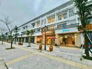 cần chuyển nhượng lô góc shophouse, eco garden, dt 244m2, mặt đường lê đức anh 60m