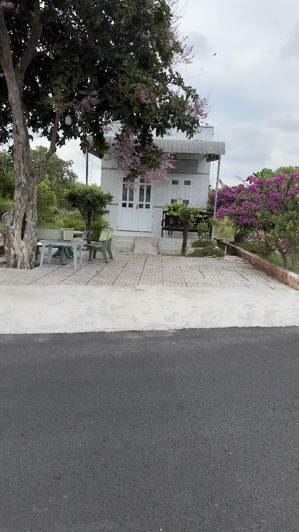 bán nhà riêng tại bàn cờ, 1,5 tỷ, 199,3 m2, chính chủ giá cực chất