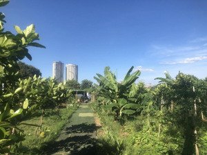 cho thuê 1200m2 đất chân cầu long biên, 10 triệu nhà hàng, vui chơi trải nghiệm, cà phê