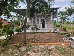 kẹt tiền bán gấp nhà vườn 1000m2 sổ hồng riêng giá rẻ, ngay trung tâm thị trấn cần đước, long an