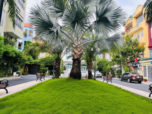 hiếm! bán nhà khu biệt lập 357a nguyễn trọng tuyển, tân bình 8x20m 4 tầng - 69 tỷ
