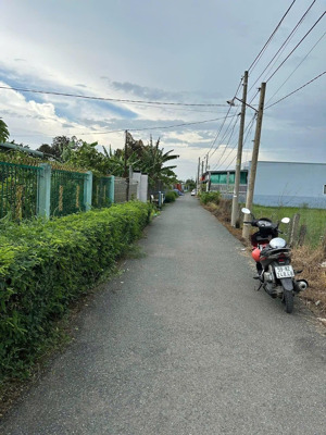 bán 3000m² đất nhà vườn xã hòa phú, huyện cần đước, long an giáp ranh tp tân an, giá tốt