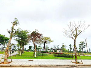 đất phú mỹ - vị trí đẹp giá đầu tư - đẳng cấp nằm ngay trung tâm thành phố quảng ngãi