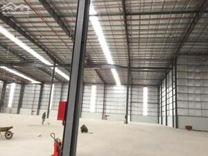 Cho thuê kho 5400m2 gần cảng Hiệp Phước, Huyện Nhà Bè, Tp HCM