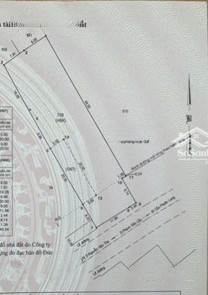 chính chủ cho thuê đất mặt tiền đường phạm hữu lầu 906m2 . giá 35 triệu