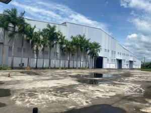 cho thuê kho xưởng tân an, long an. diện tích 80.000m2, nhà xưởng 50.000m2