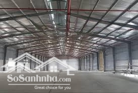 chuyên cho thuê kho xưởng. diện tích 700m2, 1200m2, 2000m2. tiêu chuẩn cao, pccc, xuất vat đầy đủ