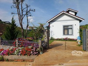 biệt thự view suối vừa là nhà, vừa là tài sản sinh lời mê linh, lâm hà 536m2 xây mới tạo dòng tiền