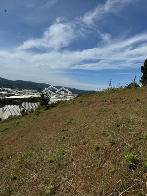chính chủ cần bán 9500m2 đất view đẹp thuộc thị trấn lạc dương, tỉnh lâm đồng, giá chỉ 6.8 tỷ