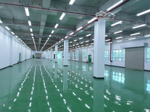 cho thuê kho 3.000m2, khuôn viên: 5.000m2 tại lê văn qưới, gần bốn xã, bình tân, trạm 1.000kva