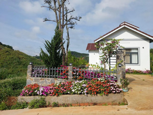 chủ đẹp trai bán gấp nhà vườn 535m view suối đà lạt giá bằng căn hộ thành phố