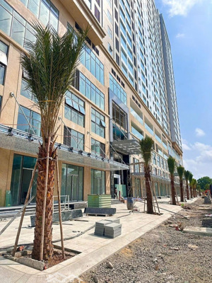 bán gấp shophouse 386,17m2 tại vung tau centre point, 22,9 tỷ.duy nhất đẹp 2/9. xin lh: 