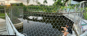 bán trang trại, khu nghỉ dưỡng tại tây hòa 5, trảng bom, đồng nai, 6,5 tỷ, 3600 m2