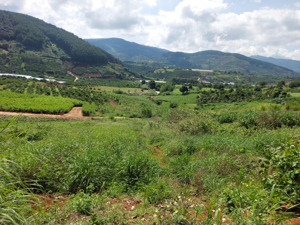 ngoại ô đà lạt mua đất nghỉ dưỡng 2 mặt tiền, view đồi đẹp, giá chỉ bằng một chuyến đầu tư nhỏ