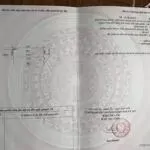 Cần bán gấp 74 m2 đất dịch vụ lại yên giá tốt