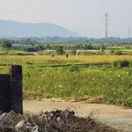 S = 414m2 có 67m2 tc bám mặt trục chính thôn 2 phú cát