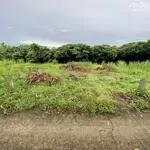 Nền đẹp 175m2, cách chợ giai xuân 1,5km. cách lộ nhựa 917 đang làm khoản 400m
