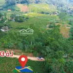 Wow lô đất cách trường quốc tế maya 1km, view núi ba vì, cam đoan đẹp nhất khu. e trung:0903455996