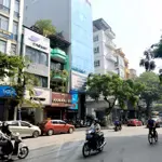 Hiếm! bán nhà phố giang văn minh, ba đình, phân lô, ô tô tránh, vỉa hè, kd, 130m, mt 12m, chỉ 47 tỷ