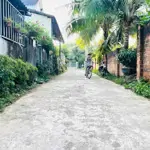 Vị trí trung tâm phường tam quan nam, tiện ích cơ bản bao vây, 5 x 35m, full đất ở, chỉ 599 triệu