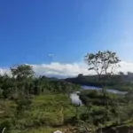 Bán đất đẹp nằm giữa đồi chè đông giang