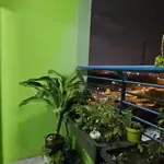 Bán căn hộ chung cư thái an apartment, 75m2 2 phòng ngủ full nội thất, lầu trung