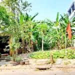 Bán đất đường mai anh tuấn vị trí siêu đẹp, gần cầu nguyễn tri phương, hoà xuân, đà nẵng