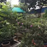 Bán nhanh căn nhà đường bạch mã quận 10 giá tốt