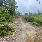 Cần bán với diện tích 1800m2 có 200m2 thổ cư. thế đất thoai nhẹ view thoáng tầm nhìn xa