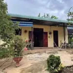 Kẹt tiền thanh lý nhanh căn nhà vườn cấp bốn sát ql14
