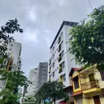 Bán đất mt phan tôn, q. ngũ hành sơn, 101m2, 12 tỷ (phố tây an thượng - cách biển 150m)