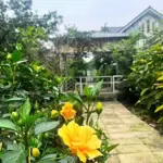 Nhà vườn nho nhỏ xinh xinh cho anh chị yêu thiên nhiên