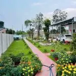 Nhà vườn tổng dt 1400m2 huyện châu thành, long an giá 4,2 tỷ