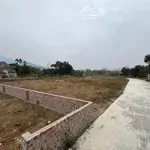 Hàng f0, đất nghỉ dưỡng ba trại, ba vì hn cách đường nhựa trục chính chỉ 100m, gần các khu du lịch