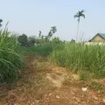 đất ba trại. 1275m. thổ cư 400m. mặt tiền nhiều. đường rộng, thoáng. oto vào tận đất.