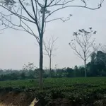 Bán lô đất 550m có đất ở. đường rộng, xe cont chạy bon bon. view nghỉ dưỡng. tiện ích đủ đầy